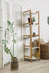 Stems of bamboo and shelving unit in light stylish room