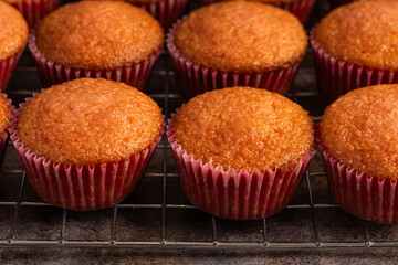 Freshly baked cupcakes on pastry table.
