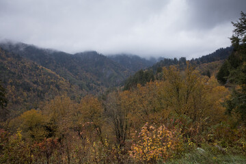 Smoky Mountains with low clouds