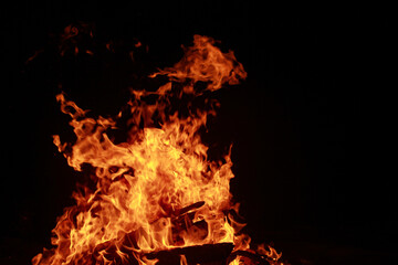 Obraz premium fire in the fireplace