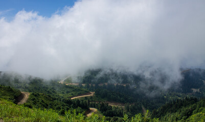 Fototapeta premium The natural background is beautiful green hills with a white cloud and a copy space on Krasnaya Polyana in Russia