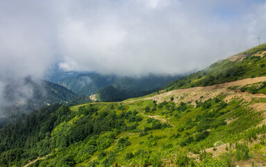 The natural background is beautiful green hills with a white cloud and a copy space on Krasnaya Polyana in Russia