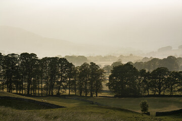landscape in Yorkshire Dales