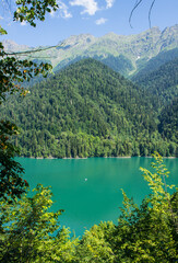 Obraz premium Bright turquoise lake Ritsa in Abkhazia among green hills on a sunny summer day