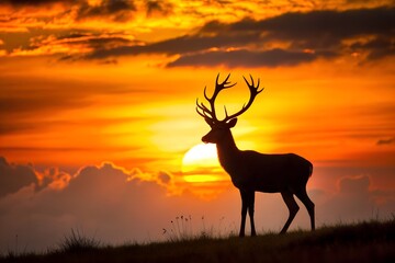 A majestic solitary deer silhouetted against the warm glow of a sunset sky, embodying peace and freedom in nature