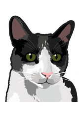 Black and white cat portrait with expressive green eyes in a minimalist style. portrait. Vector image, transparent background. Digital art pet