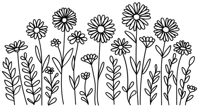 Wildflower field with daisies 