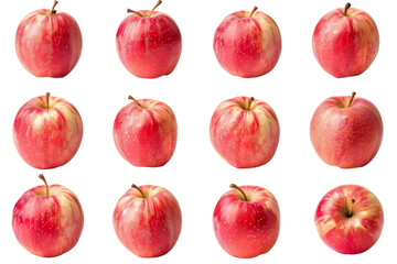 A variety of apples on a white background. The apples are all different colors, shapes, and sizes.