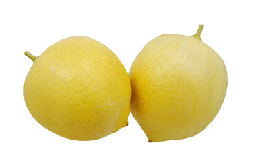 A Pair of Ripe Lemons on white background.