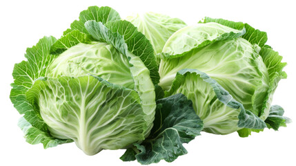 A photo of a head of cabbage isolated on a white background. The cabbage is green and has a smooth texture.