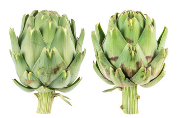 Fototapeta premium Two green artichokes on a white background.