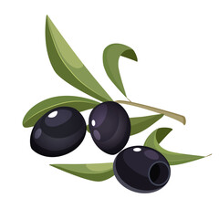Black whole olives with leaves isolated on white background
