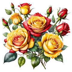 The natural beauty of roses on a transparent background