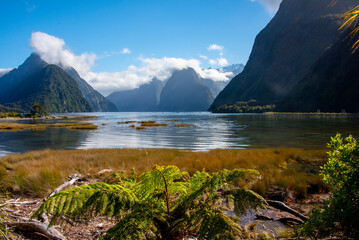 Fototapeta premium Milford Sound - New Zealand