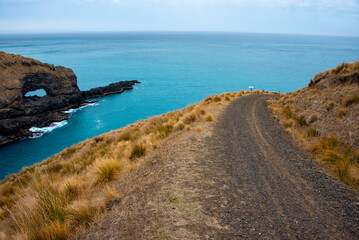 Akaroa Head Scenic Reserve - New Zealand