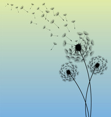 Wild flower dandelion in a vector style isolated. Vector flower for background, dandelion flying wall decal children's room 