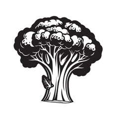 Broccoli in cartoon, doodle style . Image for t-shirt, web, mobile apps and ui. Isolated 2d vector illustration in logo, icon, sketch style, Eps 10, black and white. AI Generative