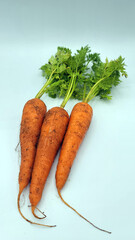 葉付き人参・泥付き人参／carrot with leaves・carrot with mud／잎이있는 인삼 · 진흙이있는 인삼
