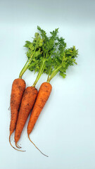 葉付き人参・泥付き人参／carrot with leaves・carrot with mud／잎이있는 인삼 · 진흙이있는 인삼