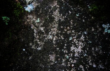 Empty white concrete texture background, abstract backgrounds, background design. Grunge interior background, grunge dirty metal background or texture.