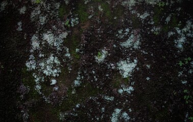 Empty white concrete texture background, abstract backgrounds, background design. Grunge interior background, grunge dirty metal background or texture.