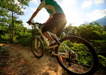 Mountain biking adventure on forest trail