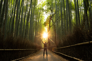 Sunburst through bamboo forest with person