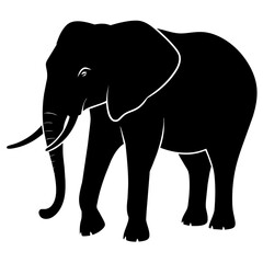 Fototapeta premium vector silhouette of an African elephant pose on a white background (9)