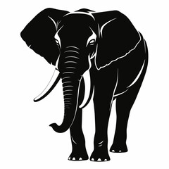 vector silhouette of an African elephant pose on a white background (13)