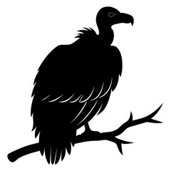 Big griffon vulture ‍flying vector silhouette (14)
