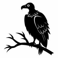 Big griffon vulture ‍flying vector silhouette (15)
