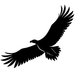 Big griffon vulture ‍flying vector silhouette (45)