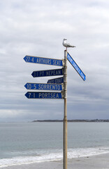 Directional signpost pointing towards Arthurs Seat, Point Lonsdale, Pt Nepean, Bass Strait, Sorrento and Portsea with a seagull sitting on top at Queenscliff beach in Victoria, Australia
