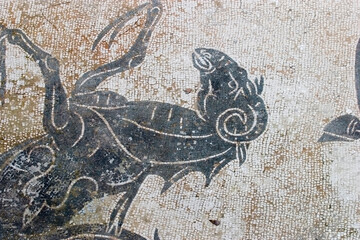 Mosaics at Ostia Antica Rome