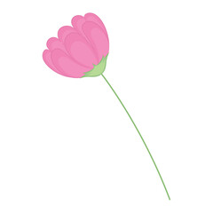 Isolated colored flower icon Vector illustration