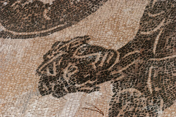 Mosaics in Ostia Antica