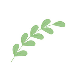 Isolated summer green leaf icon Vector illustration