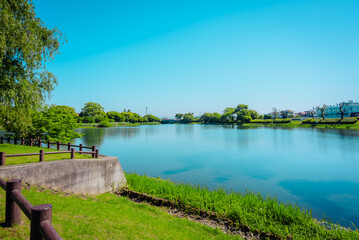 Fototapeta premium 【熊本】水前寺江津湖公園