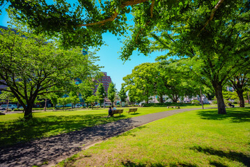 【熊本】水前寺江津湖公園