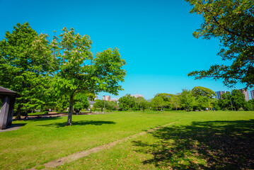 【熊本】水前寺江津湖公園