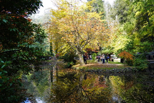 autumn in the park
