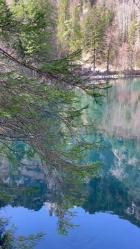 Clear water view in Blausee / Blue Lake - Bernese Oberland, Switzerland.