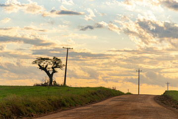 Obraz premium Landscapes of the pampas at dusk in southern Brazil