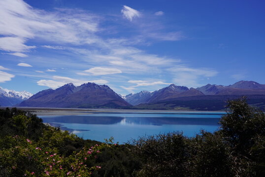 New Zealand blue