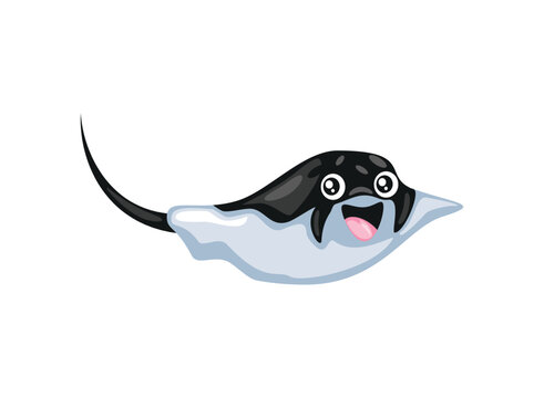 stringray sea life