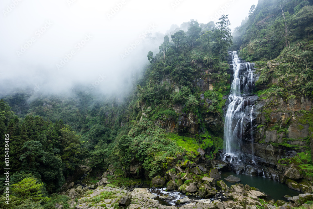 Sticker tropical waterfall in the forest