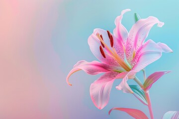 A single pink lily with a soft focus, creating a dreamlike atmosphere against a gradient background of dusty rose and pastel blue Include ample copy space in the center