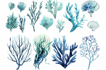 a collection of seaweed and corals painted in watercolor on a white background