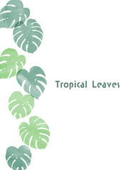 手描きの南国の植物モンステラのフレームイラスト_縦