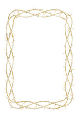 Textured Elegance: Golden Thorn Frame 3D render showcases a vertical frame adorned with golden thorns, adding a touch of elegance to modern art and Christian design projects.